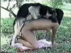 Crude strumpets having sex with dogs